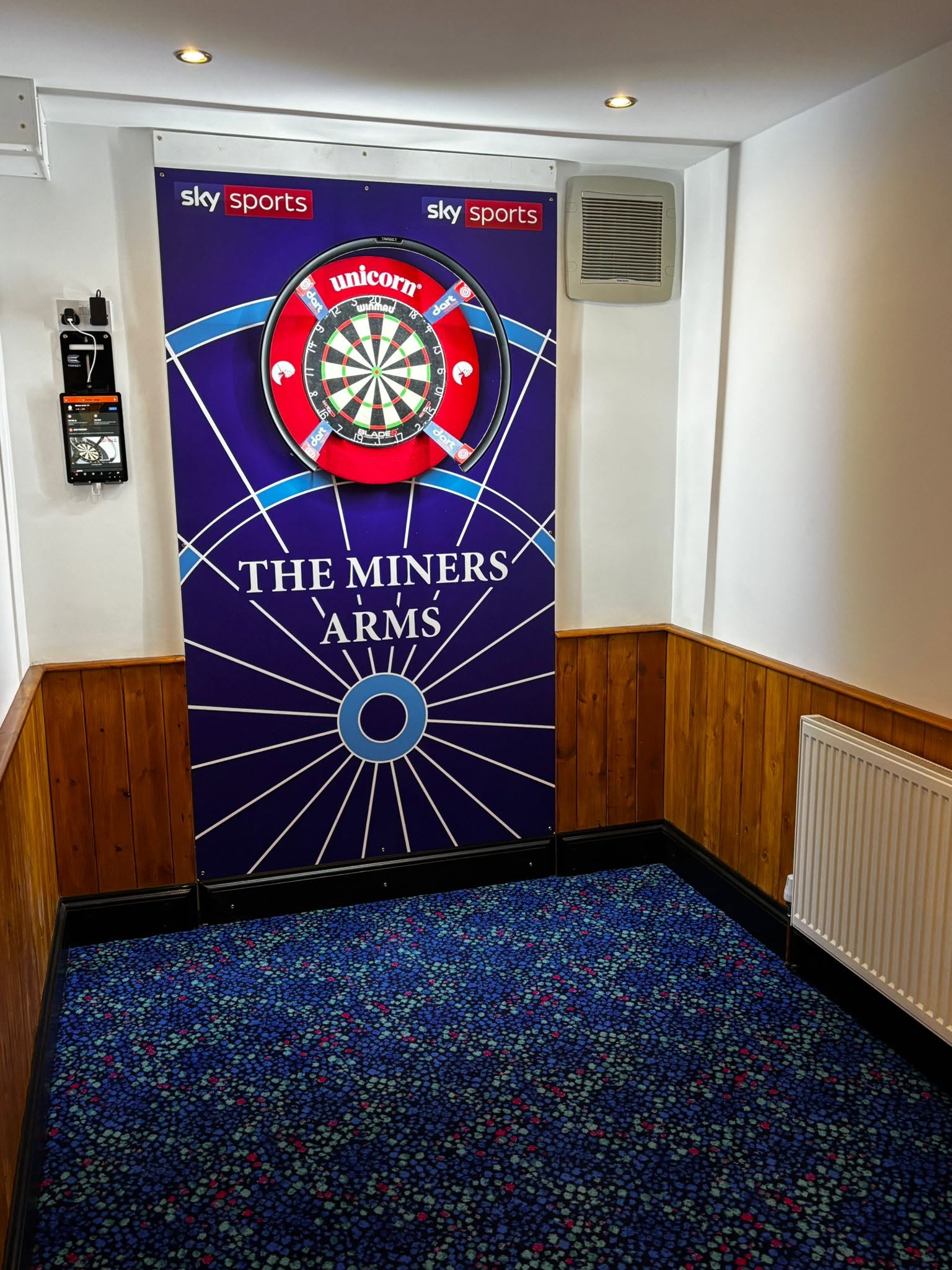 Darts setup
